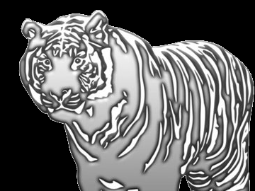 Platinum Tiger head